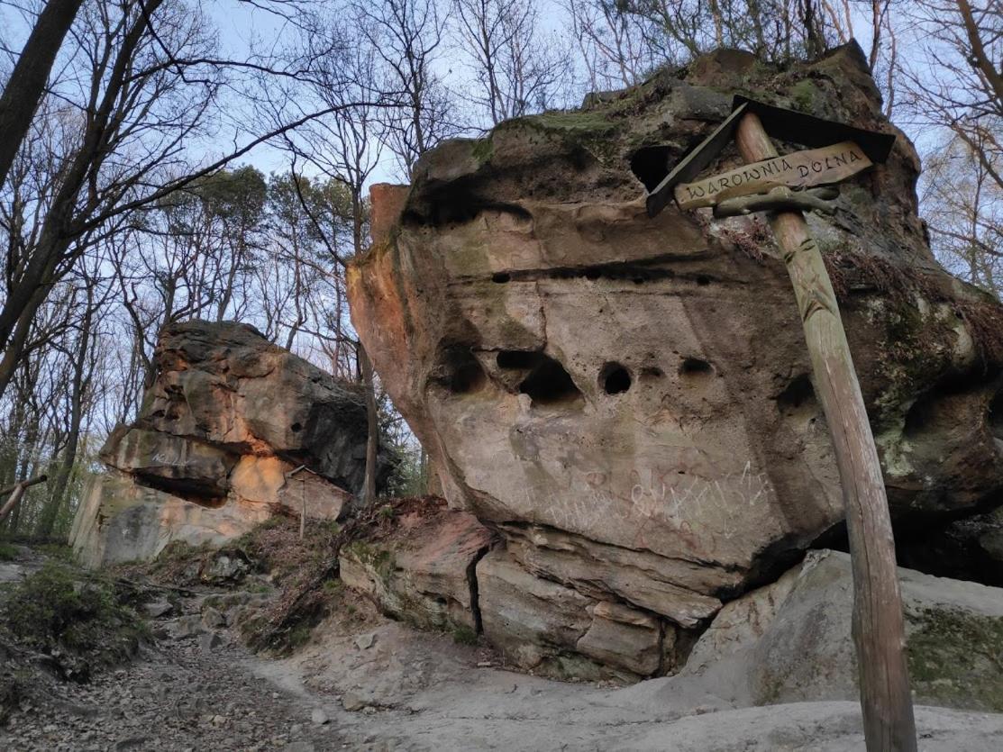 Zielony Zakatek Ciezkowice Dış mekan fotoğraf