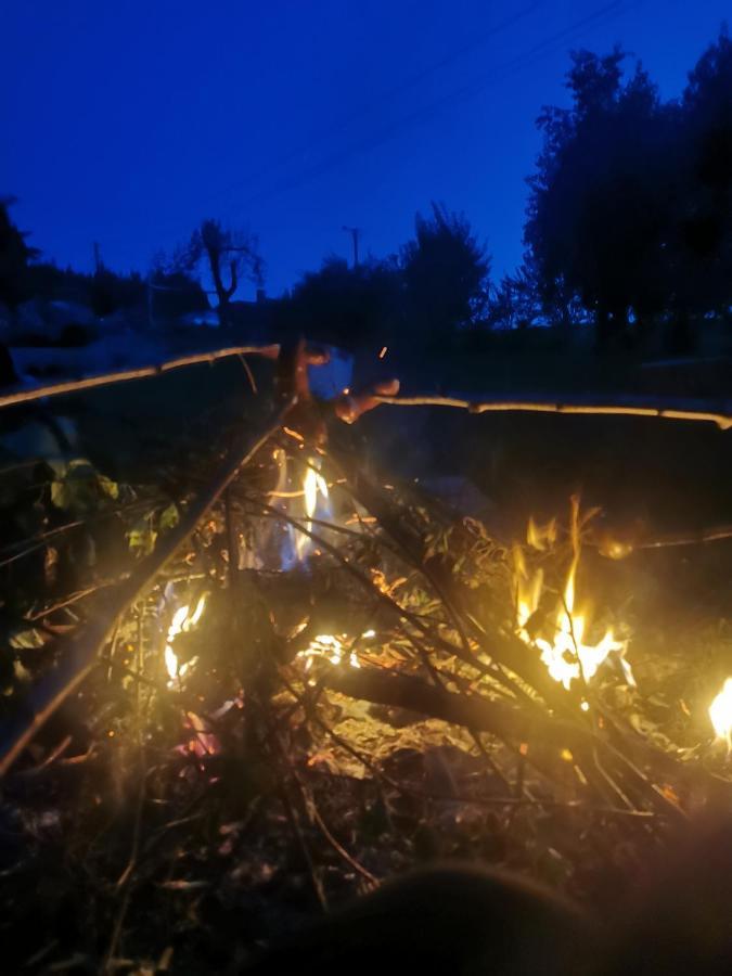 Zielony Zakatek Ciezkowice Dış mekan fotoğraf